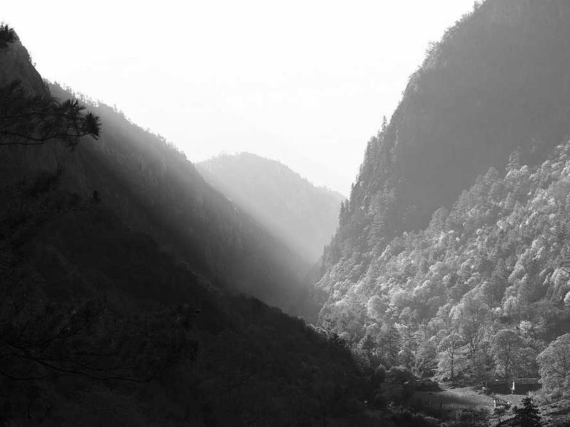 欢乐保保险推广服务